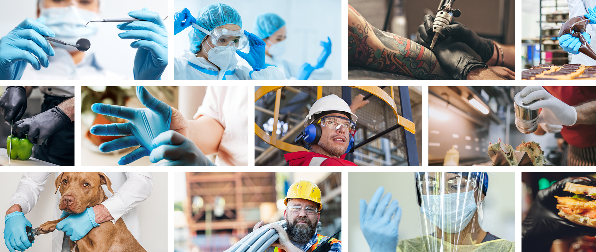 masthead-collage-img-template-v01-cropped